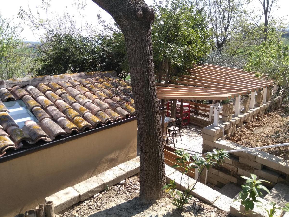 Barbagianni Villa Senigallia Kültér fotó