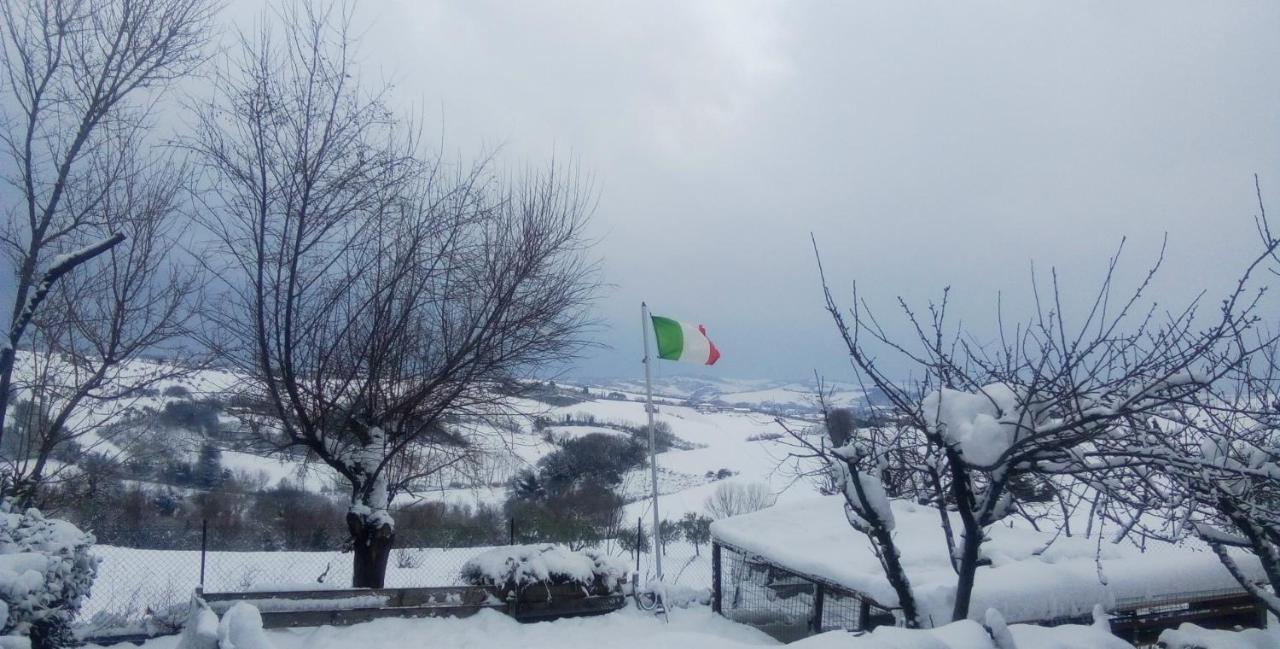 Barbagianni Villa Senigallia Kültér fotó