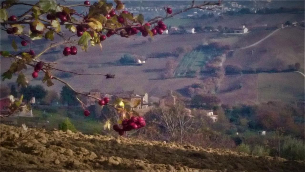 Barbagianni Villa Senigallia Kültér fotó