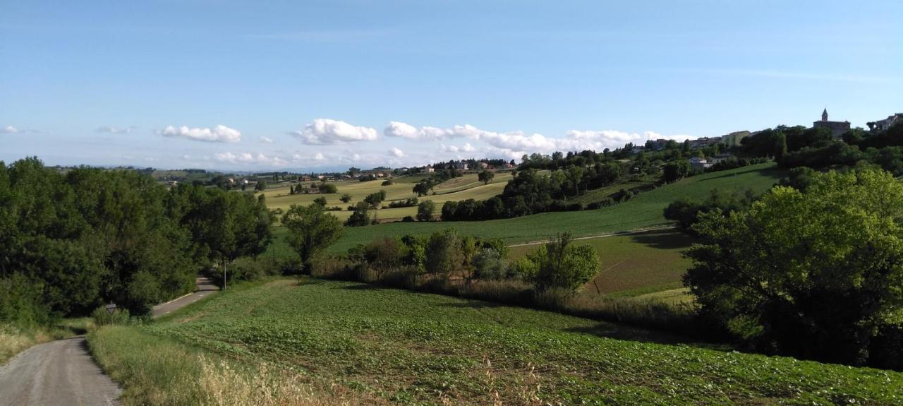Barbagianni Villa Senigallia Kültér fotó