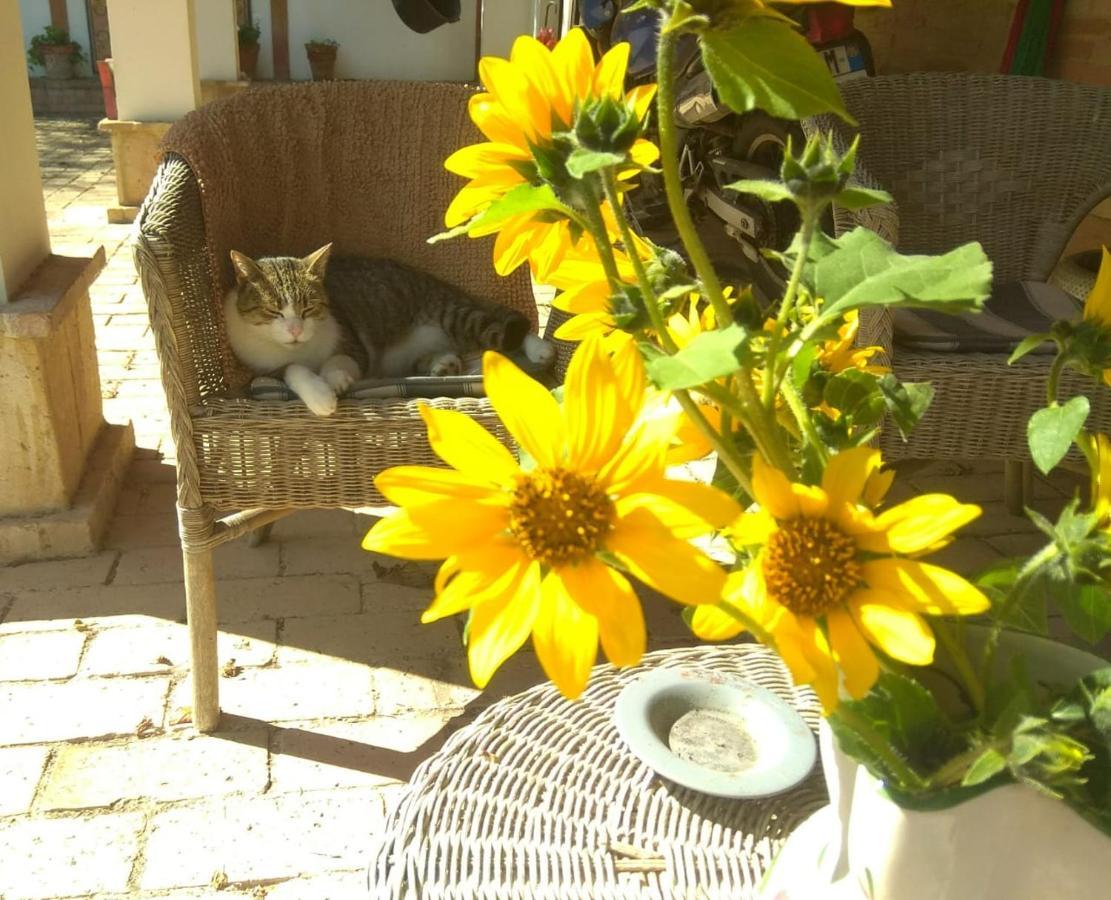 Barbagianni Villa Senigallia Kültér fotó
